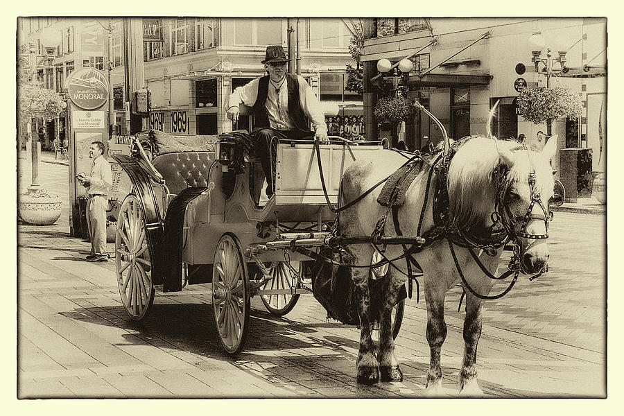 Horse Drawn Carriage Photograph by David Patterson