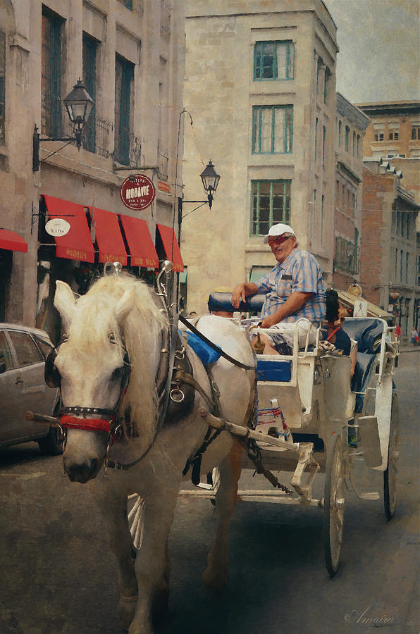 Horse Drawn Carriage - Old Montreal Photograph by Maria Angelica Maira