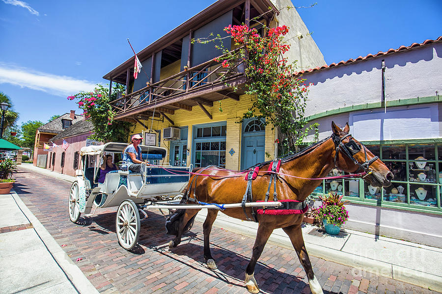 Landscape Photograph - Horse Drawn Carriage, St. Augustine, Florida by Felix Lai