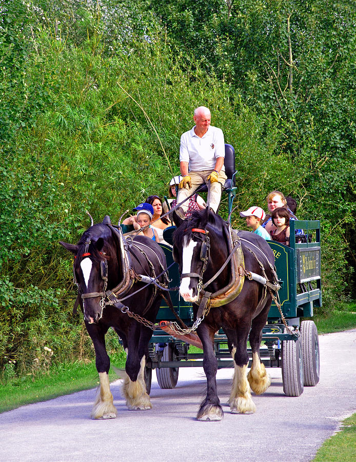 Horse-drawn Cart, Carsington Water Photograph by Rod Johnson