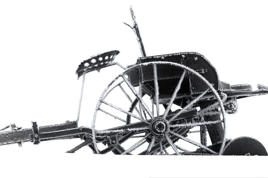 Horse Drawn Drill Photograph by David Andersen