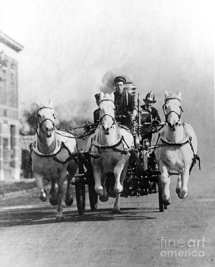 Horse-drawn Fire Truck, C. 1890s-1900s Photograph by H. Armstrong Roberts/ClassicStock