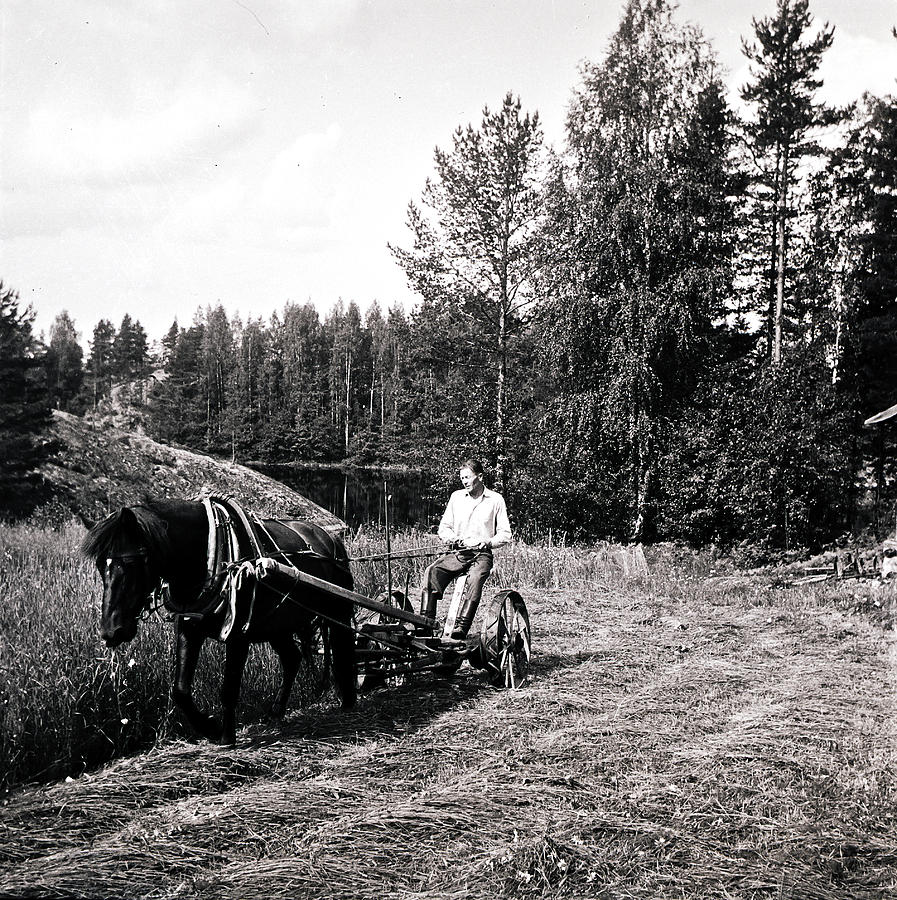 Horse-drawn Mower in action Photograph by Jarmo Honkanen
