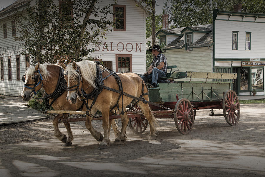 Horse Drawn Wagon at the Fort Edmonton Museum Photograph by Randall Nyhof