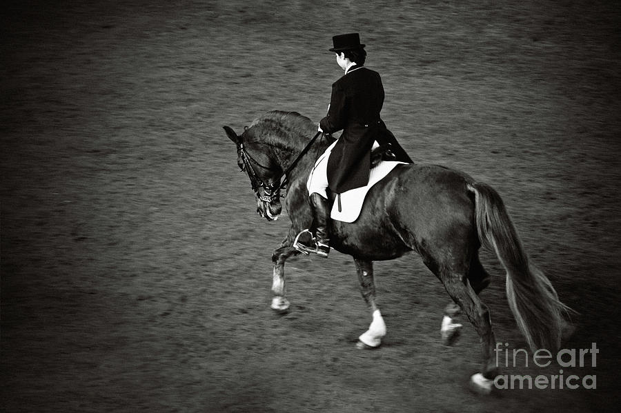 Horse dressage - Black and White Photograph by Dimitar Hristov