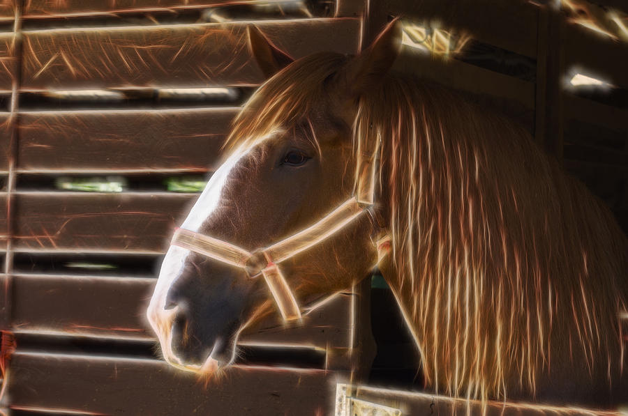 Horse Electric Digital Art by Flees Photos