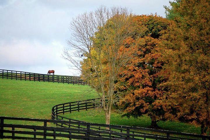 Horse Farm Country in the fall Photograph by Sumoflam Photography