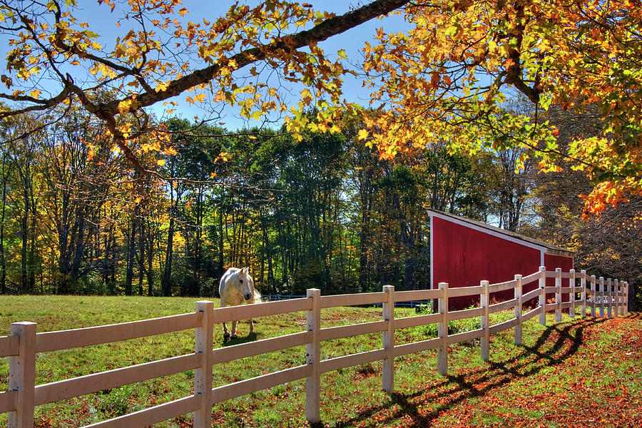 Horse Farm in Autumn - Surry NH Photograph by Joann Vitali