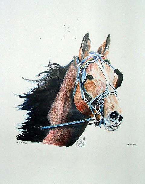 Horse Drawing - Horse by Felipe Galindo