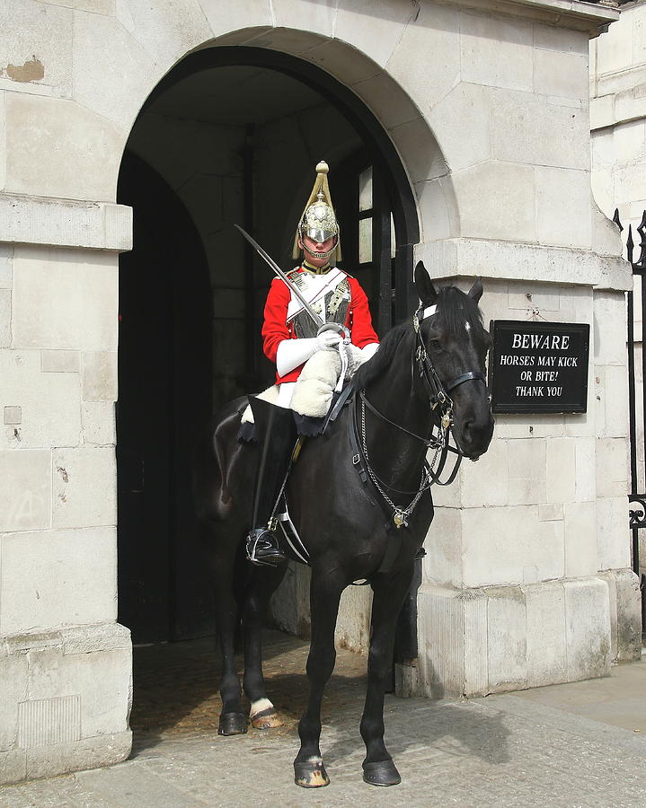 Horse Guard Photograph by Arvin Miner - Fine Art America