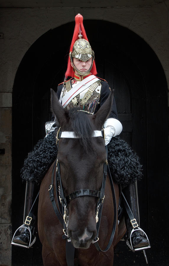 Horse Guard Photograph by Sharon Ann Sanowar