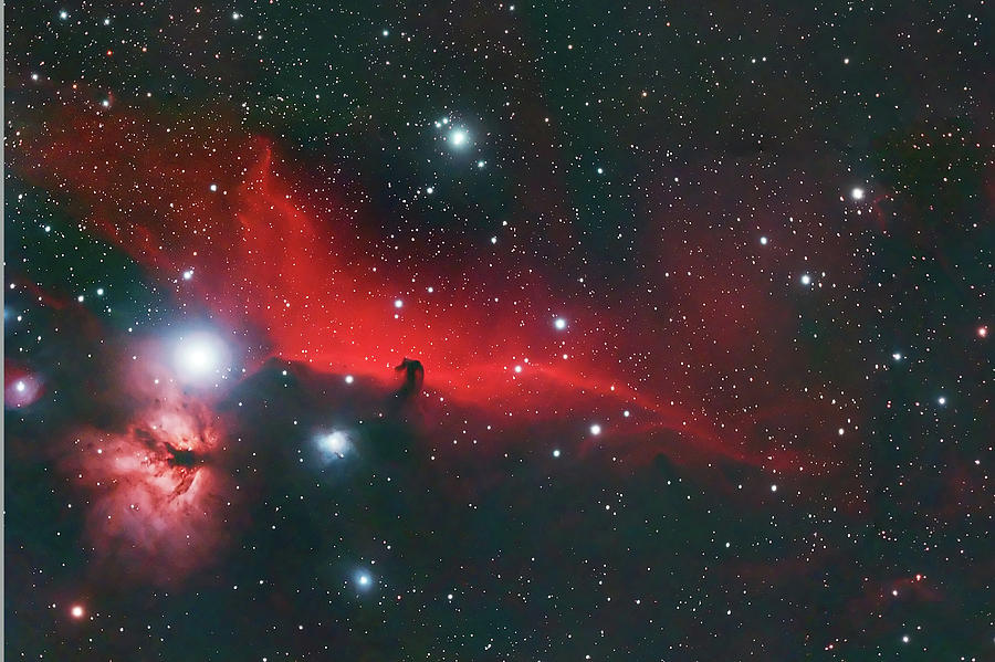 Horse Head and Flame Nebula Photograph by Dale J Martin