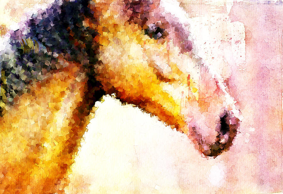 Horse Head Digital Art by Andrea Barbieri