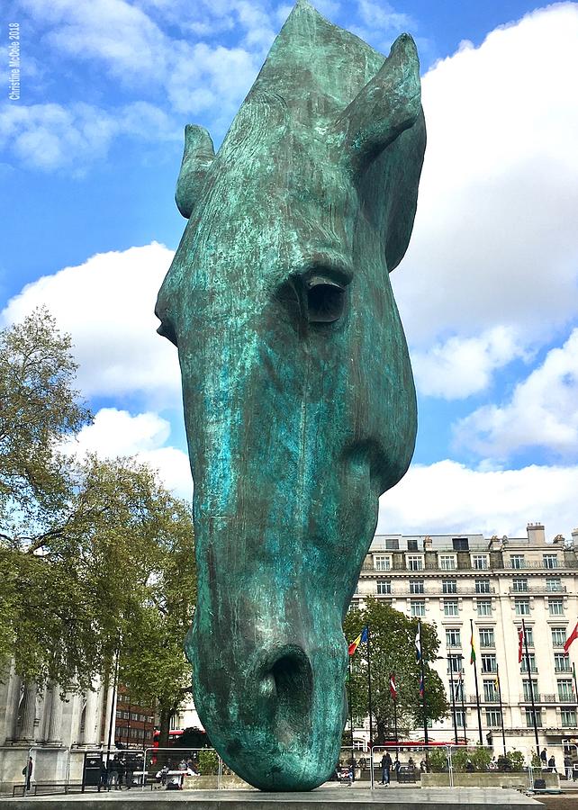 Horse head sculpture Photograph by Christine McCole - Fine Art America