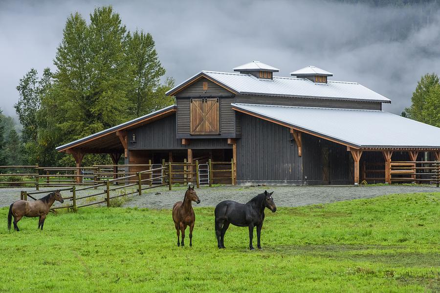 Horse Heaven Photograph by Dave Steers - Fine Art America