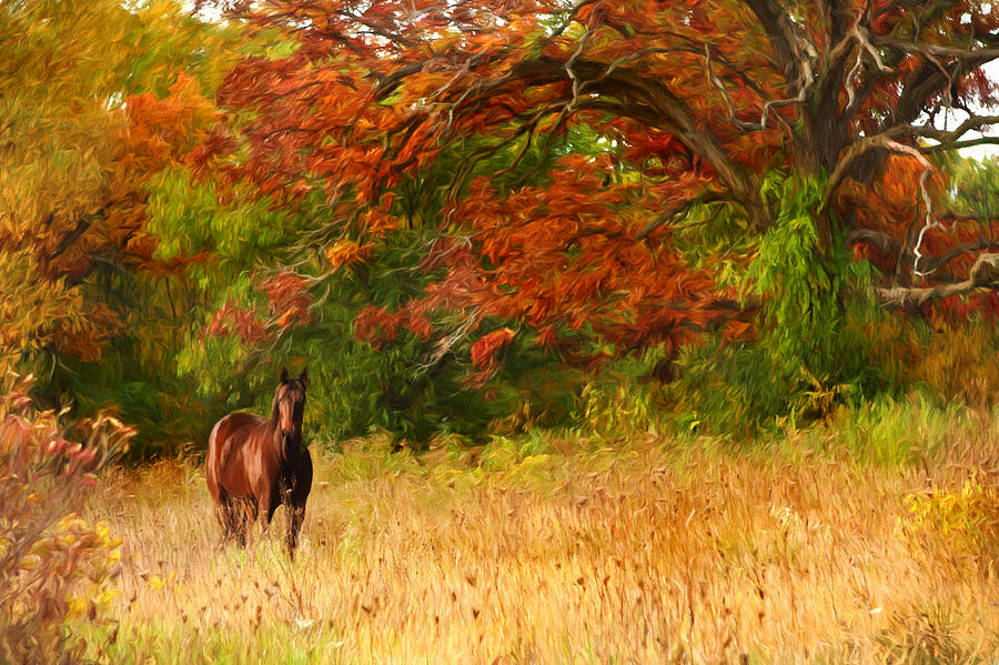 Fall Painting - Horse in autumn woods by Vicki France