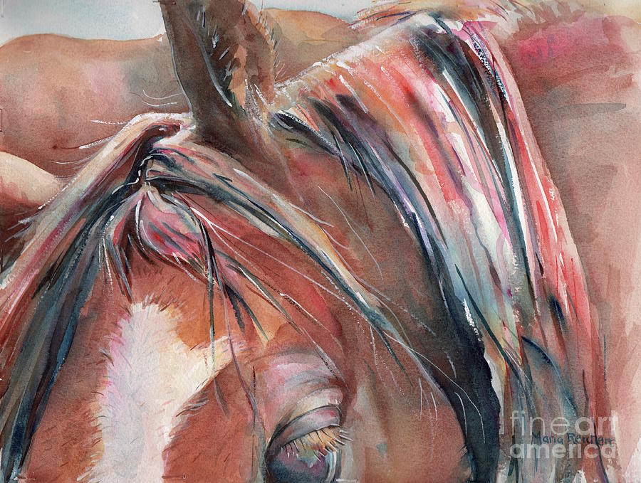 Horse Painting - Horse in Watercolor by Maria Reichert