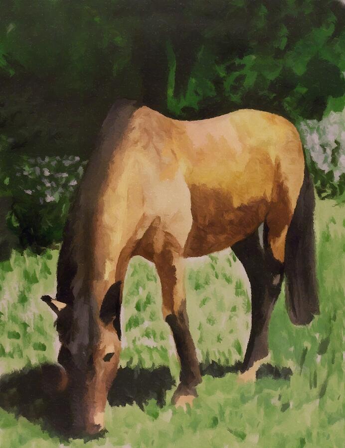 Horse Painting - Horse by Abbie Shores