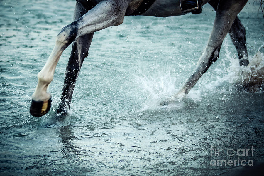 Horse legs running on the water Photograph by Dimitar Hristov
