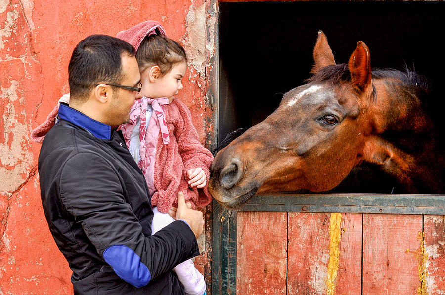 Horse Photograph - Horse Love by Freepassenger By Ozzy CG Horse Photograph - Horse Love by Freepassenger By Ozzy CG
