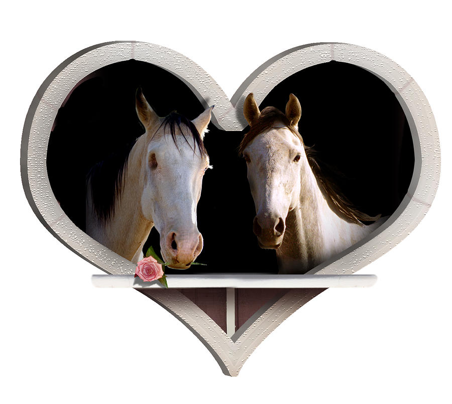 Horse Lovers Photograph by Gravityx9  Designs