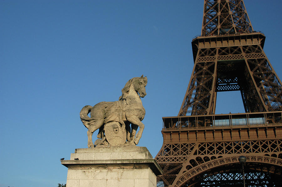 Horse Lovers View Of The Eiffel Tower Photograph