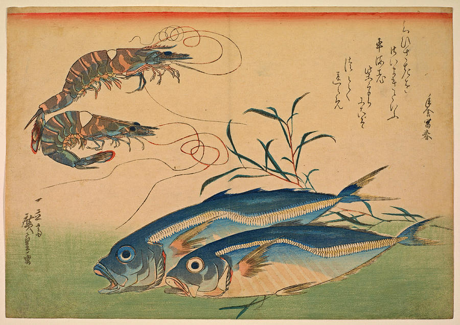 Horse Mackerel with Shrimp or Prawn Drawing by Utagawa Hiroshige