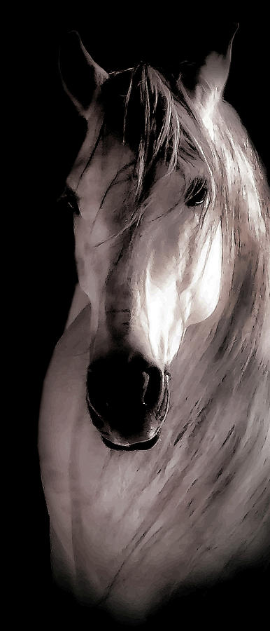 Horse Marble Photograph by Athena Mckinzie