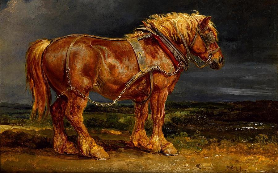 Horse Digital Art - Horse by Maye Loeser