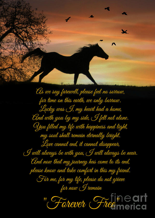 Horse Memorial Forever Free Poem by Stephanie Laird Photograph by Stephanie Laird