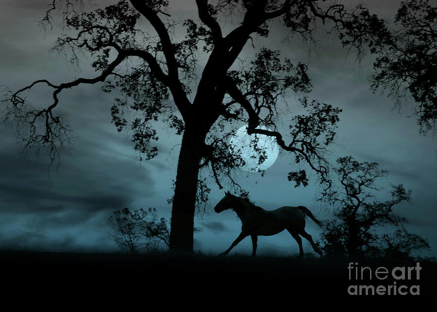 Horse, Moon and Oak Tree Photograph by Stephanie Laird