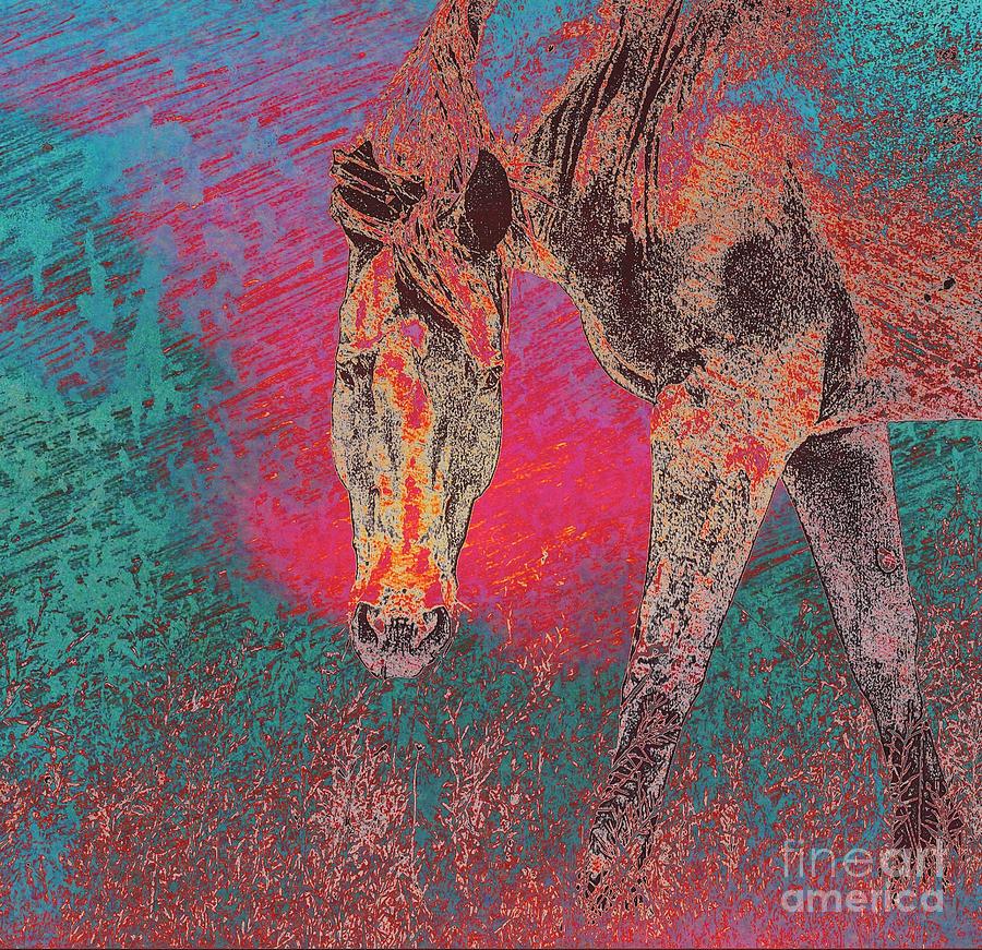 Horse multi color Photograph by Toma Caul