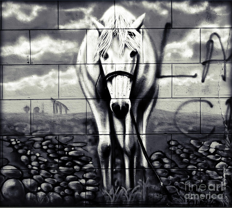 Brick Photograph - Horse on the Brick Wall - Graffiti by Daliana Pacuraru