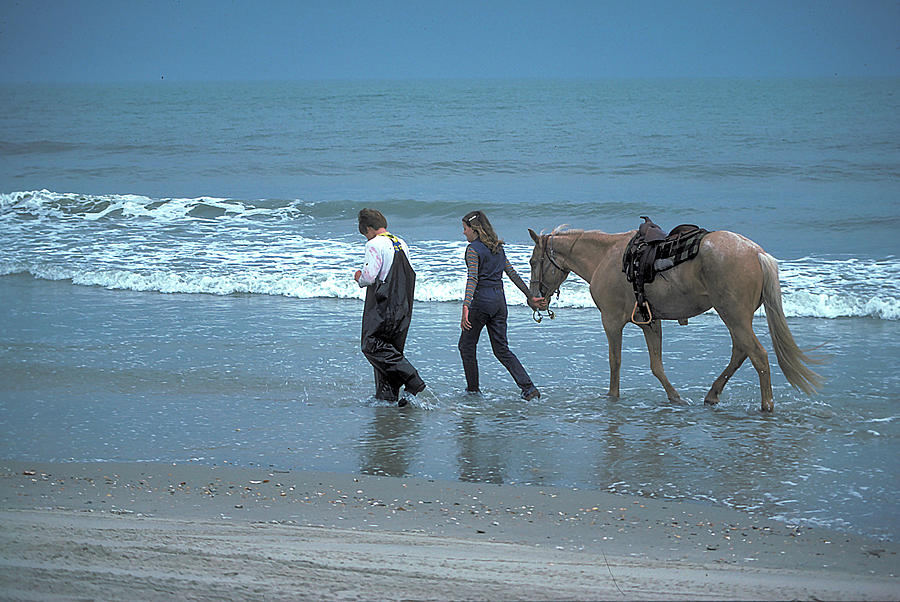 Horse Photograph - Horse on the Outer Banks in North Carolina by Carl Purcell