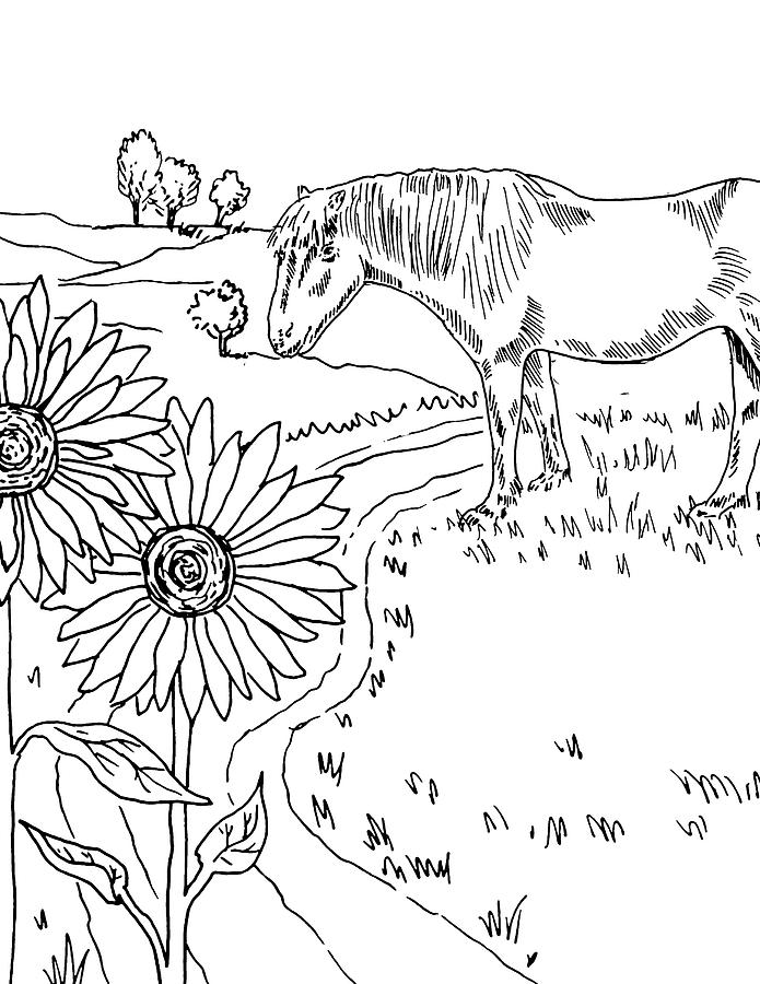 Horse On The Ranch Ink Drawing I Drawing by Irina Sztukowski