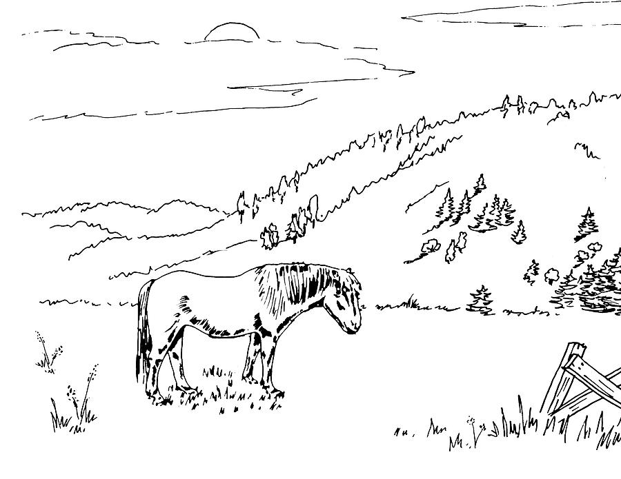 Horse On The Ranch Ink Drawing Viii Drawing