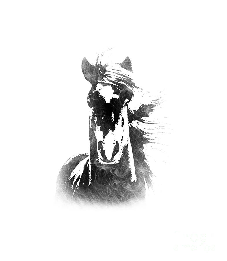Horse Overlay Photograph by Mim White