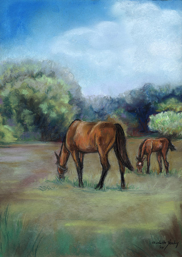 Horse Pasture Painting by Charlotte Yealey
