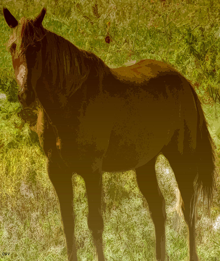 Horse Patch Digital Art by Debra     Vatalaro