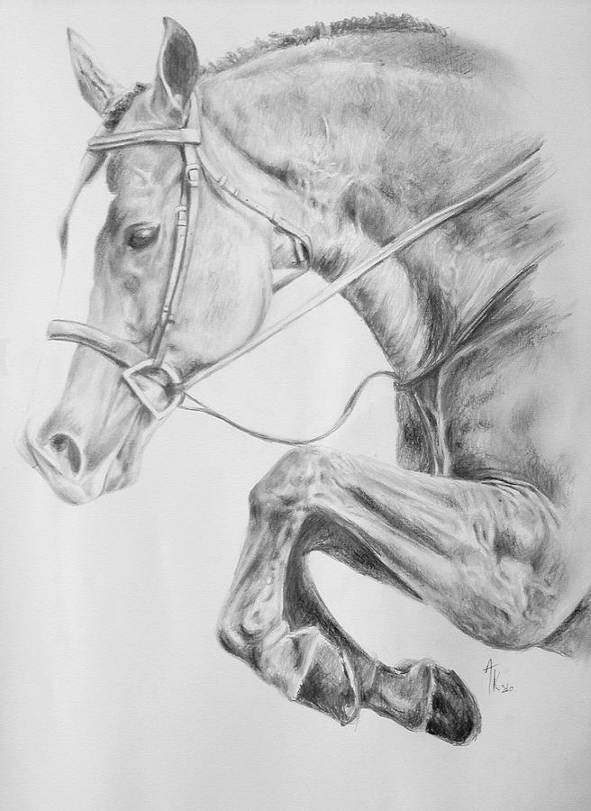 Horse Pencil Drawing Drawing by Arion Khedhiry