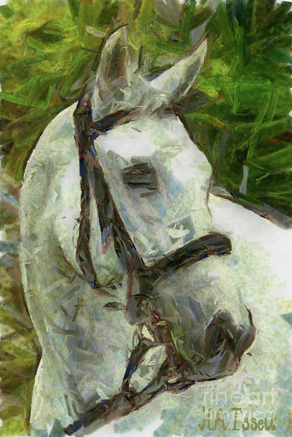 Horse Portrait 2 Digital Art by Humphrey Isselt