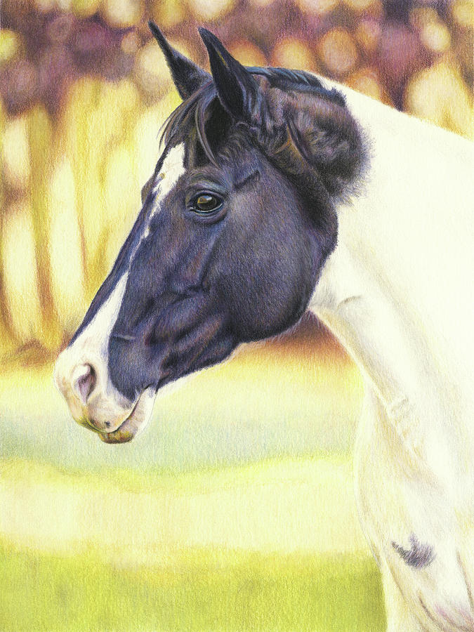 Horse Painting - Horse Portrait by Karen Broemmelsick
