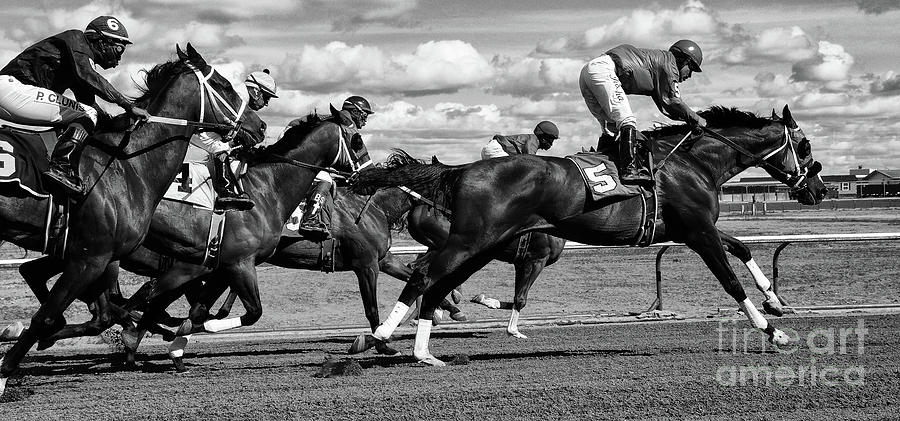 Sports Photograph - Horse Power 11 by Bob Christopher