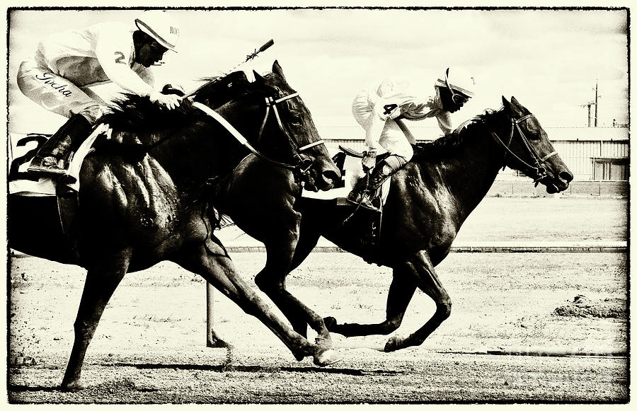 Sports Photograph - Horse Power 13 by Bob Christopher
