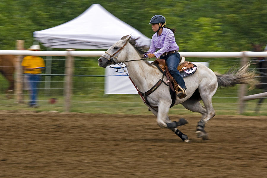 horse-power-photograph-by-carole-wood