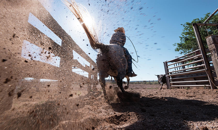 Horse Photograph - Horse Power by Steve Gadomski