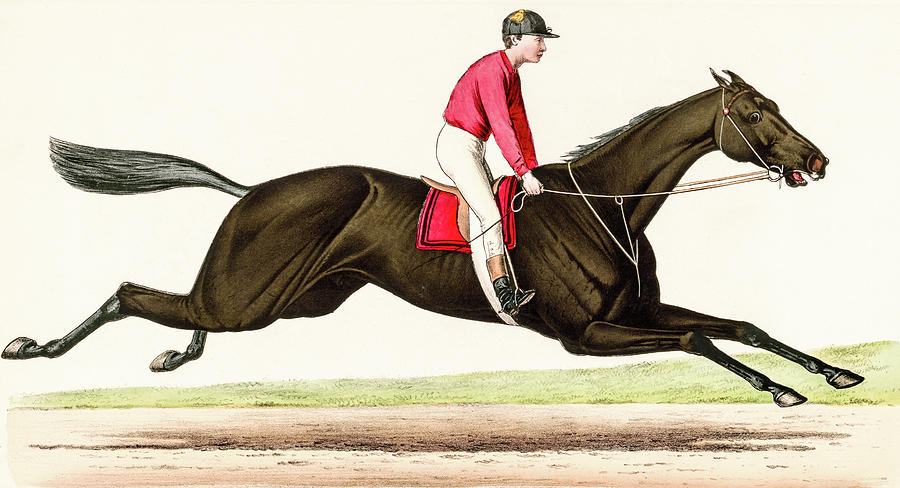 Horse Race Photograph by David Letts