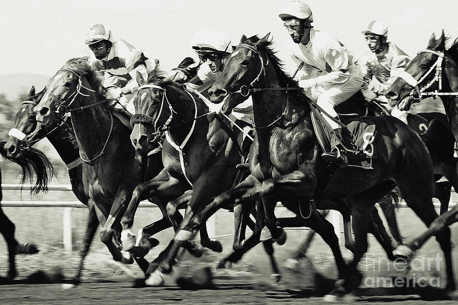 Black And White Photograph - Horse Racing by Dimitar Hristov
