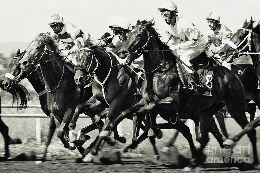 Horse Racing Photograph by Dimitar Hristov