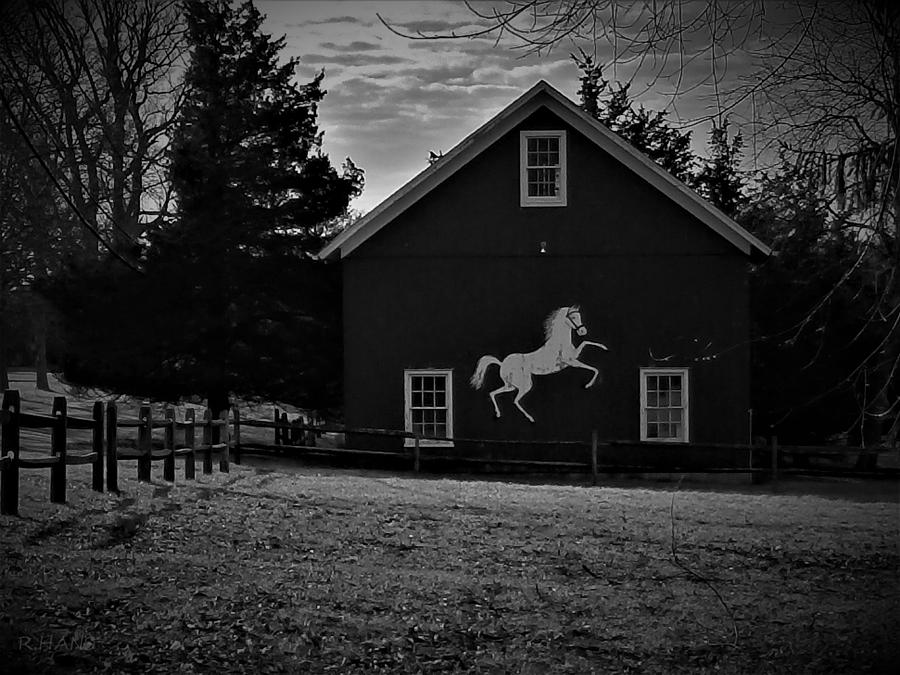 Horse Ranch 1 Photograph